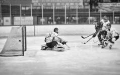 HK Celje, Inter-National-League 2013